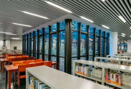 Καζίνο Λιον Γουινς Κινητη εφαρμογη